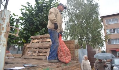 Зарайских пенсионеров обеспечивают картофелем