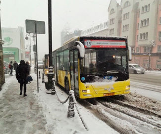 Минтранс области призывает жителей пользоваться общественным транспортом в непогоду 