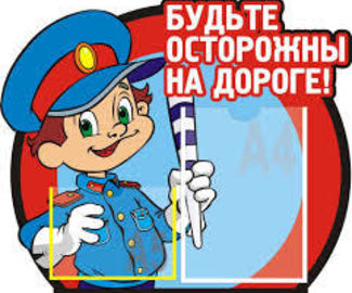 В Зарайском районе состоялся слет ЮИД