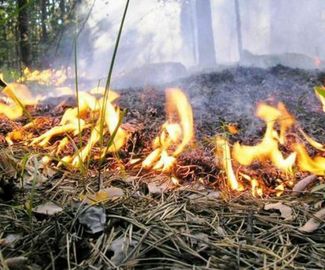 МЧС при облете лесов Подмосковья обнаружил возгорания, грозящие перерасти в крупные пожары, сотрудники 