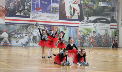 Открытый чемпионат Федерации черлидинга России прошел в Зарайске 
