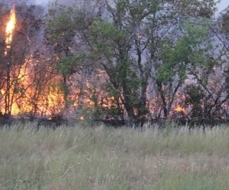 Около 200 нарушений пожарной безопасности выявили в лесах Московской области с начала 2016 года