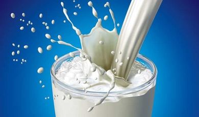  В Подмосковье появилось производство безлактозного молока