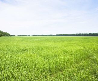 В Зарайском районе оценили виды на урожай