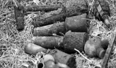 С начала 2016 года взрывотехники Подмосковья обезвредили 313 боеприпасов времен Великой Отечественной войны 