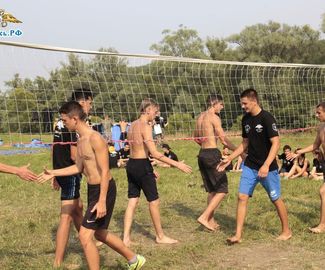 День волейбола