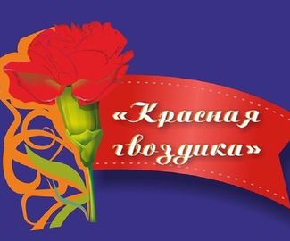  4 ноября, в центре досуга «Победа» состоится V открытый городской фестиваль молодых исполнителей патриотической песни «Красная гвоздика».