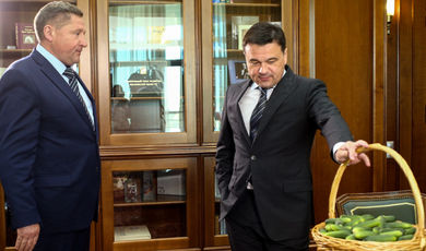 Глава Луховиц представил губернатору отчет об итогах работы за 2017 год