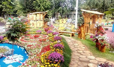 Свыше 42 тыс. растений высадят на фестивале «Цветы Подмосковья» с 23 по 25 августа