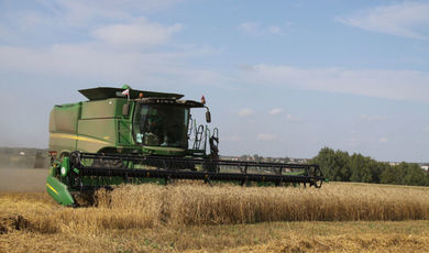 В городском округе Зарайск завершается уборка зерновых