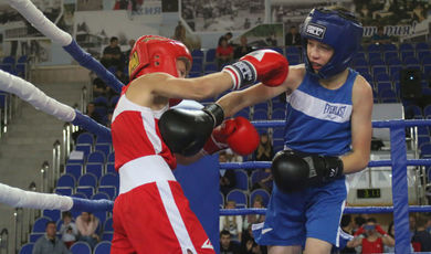 Во Дворце спорта «Зарайск» состоялась матчевая встреча по боксу