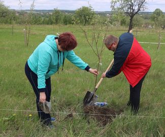 Зарайцы сажали деревья у Белого Колодца