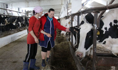 Фермеры Зарайска планируют увеличить производство молока