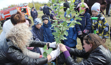 В г.о. Зарайск в ходе акции «Наш лес. Посади своё дерево» высажено около 1470 саженцев.