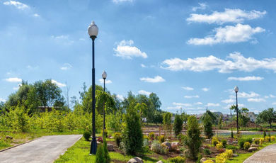 Площадь парков в Московской области выросла за два года на 597 га