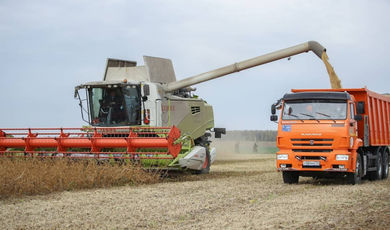 В сельскохозяйственных предприятиях городского округа Зарайск подходит к концу уборка урожая.
