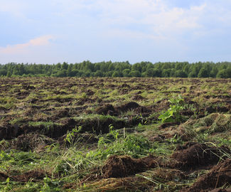 Около 60,2 тыс. га земли ввели в сельскохозяйственный оборот Подмосковья с начала года.