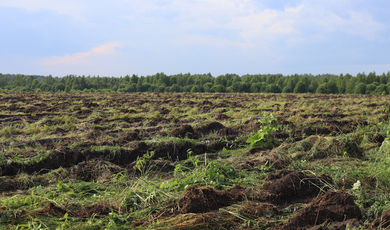 Около 60,2 тыс. га земли ввели в сельскохозяйственный оборот Подмосковья с начала года.