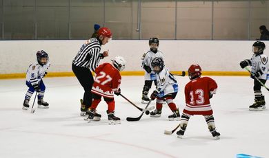 На льду Зарайского ледового спортивного комплекса прошёл детский турнир среди 2015-2016 г.р. под названием "Шайбу-Шайбу!"