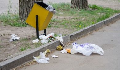 В Московской области принят закон о штрафах за незаконный выброс мусора