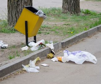 В Московской области принят закон о штрафах за незаконный выброс мусора