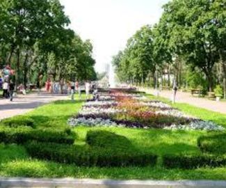 В Подмосковье создадут патриотический парк 