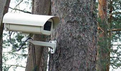 В зарайских лесах установили видеокамеры 