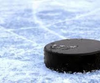 Госадмтехнадзор: в Зарайске по-прежнему плохое состояние хоккейных площадок
