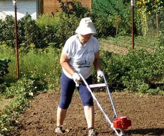 Зарайцы не успели создать комиссию по работе с дачниками