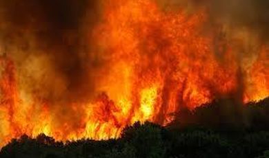 Гидрометцентр: в Подмосковье сохраняется повышенная вероятность лесных пожаров