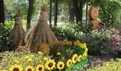 Конкурс по цветочному оформлению садовых участков  "Лучшая клумба" 