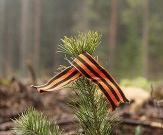 Зашумят деревья через годы, где теперь лишь малые ростки
