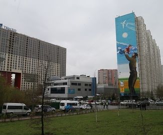 Глава Подмосковья в ходе рабочей поездки в Одинцово высоко оценил граффити, посвященное 70-летию Победы