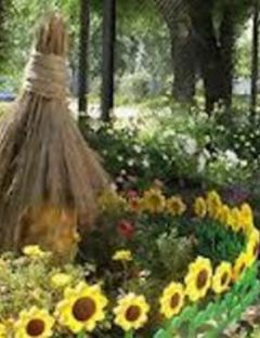 Конкурс по цветочному оформлению садовых участков "Лучшая клумба"