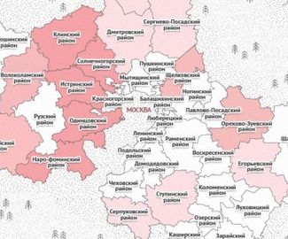 Жук-короед обошел стороной зарайские леса 