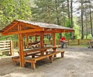В зарайских лесах оборудуют места для отдыха 